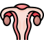 uterus.png